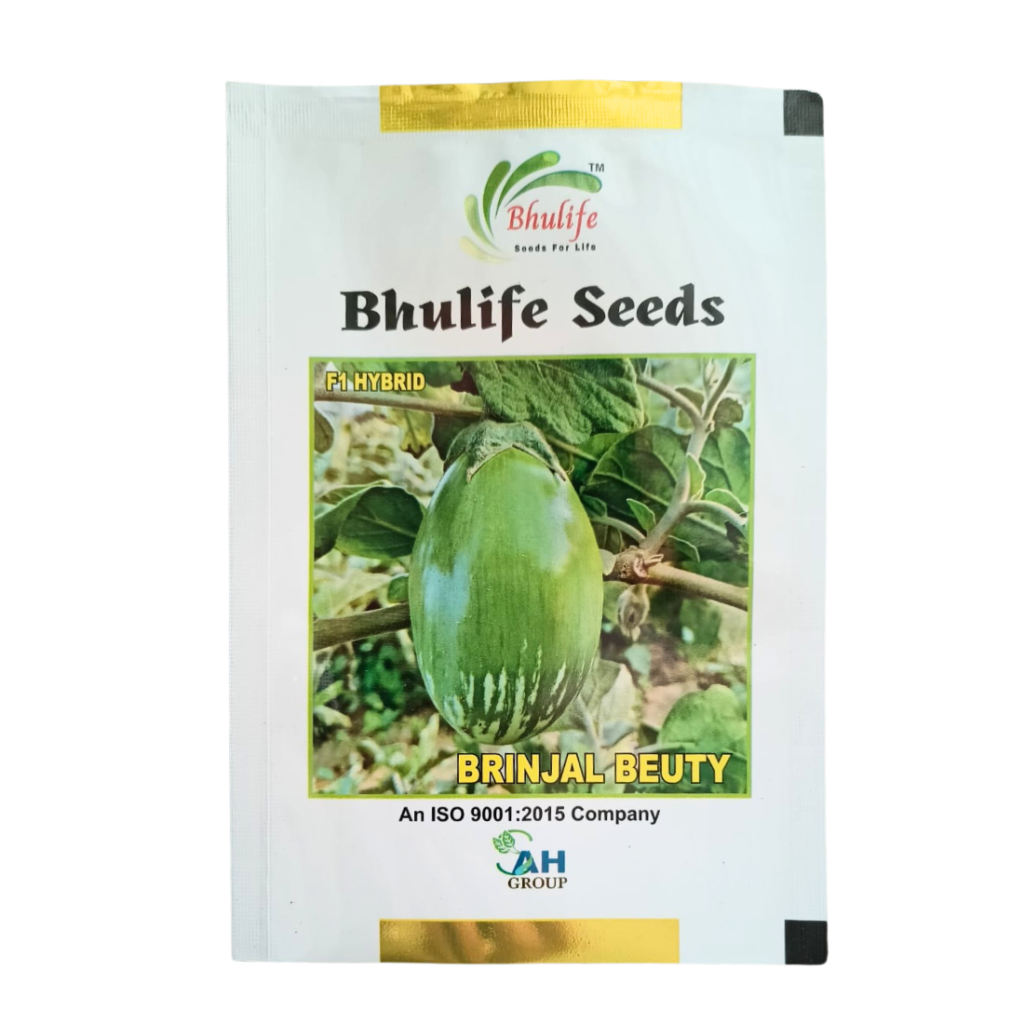 Bhulife Seeds Brinjal Seeds Beauty Green Round Brinjal Seeds by Basanti Agro Private Mimited