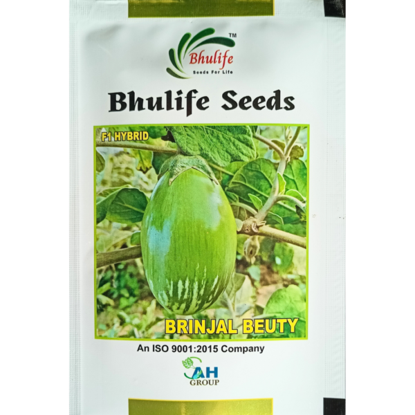 Bhulife Brinjal Seeds Beauty