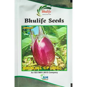 Bhulife Brinjal Seeds CP Big