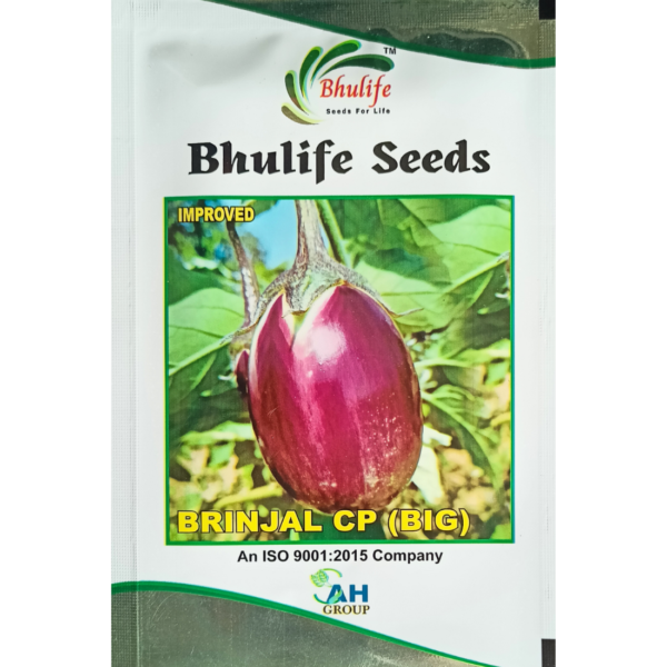 Bhulife Brinjal Seeds CP Big