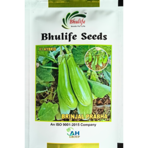 Bhulife Brinjal Seeds Prabha