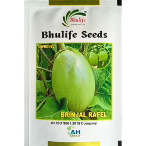 Bhulife Brinjal Seeds Rafel