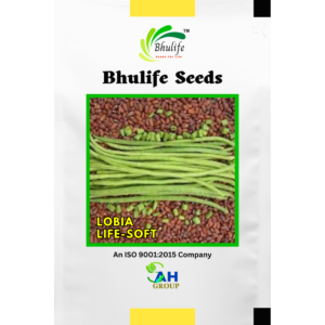 Bhulife Seeds Lobia Seeds Life Soft