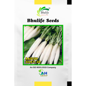 Bhulife Seeds Radish Seeds Silky 30