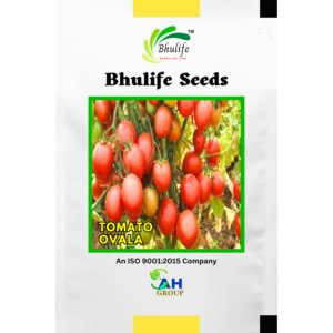 Bhulife Seeds Tomato Seeds Ovala